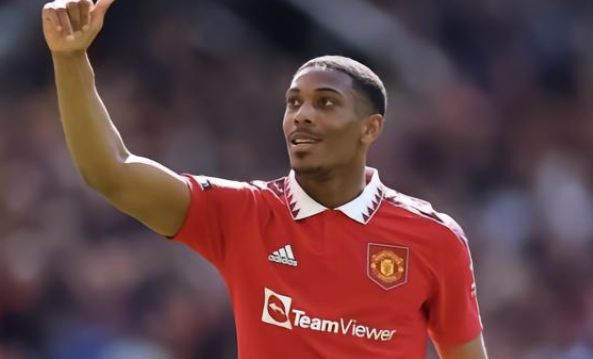 多实质性成 多实质性成