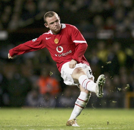 目一新的視 目一新的視